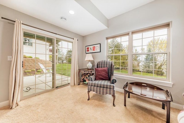 living area with baseboards and carpet flooring