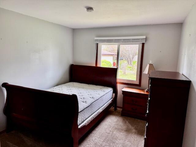 bedroom with carpet