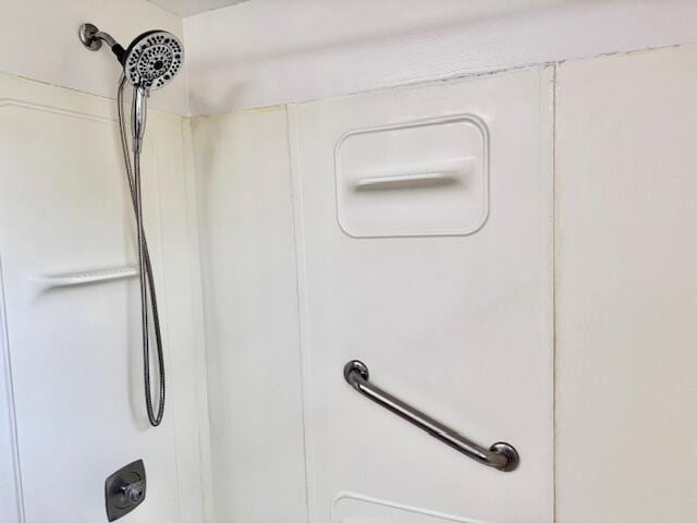 interior details featuring walk in shower