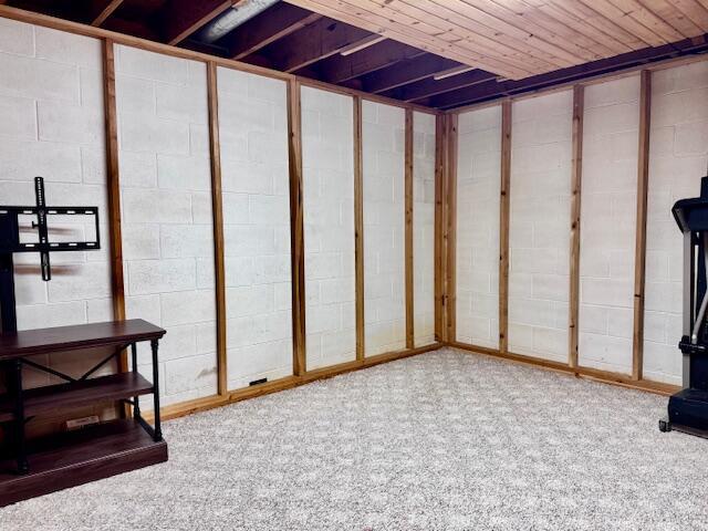 below grade area with carpet