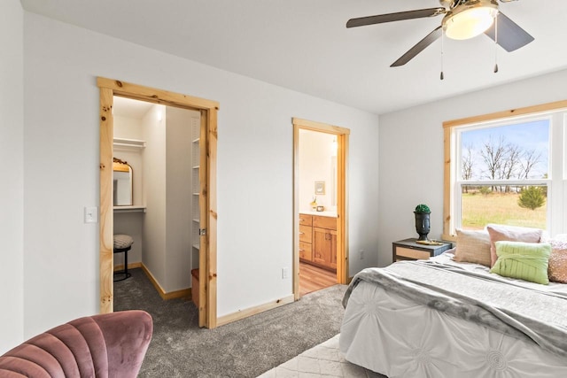 bedroom featuring a walk in closet, ceiling fan, baseboards, carpet floors, and connected bathroom