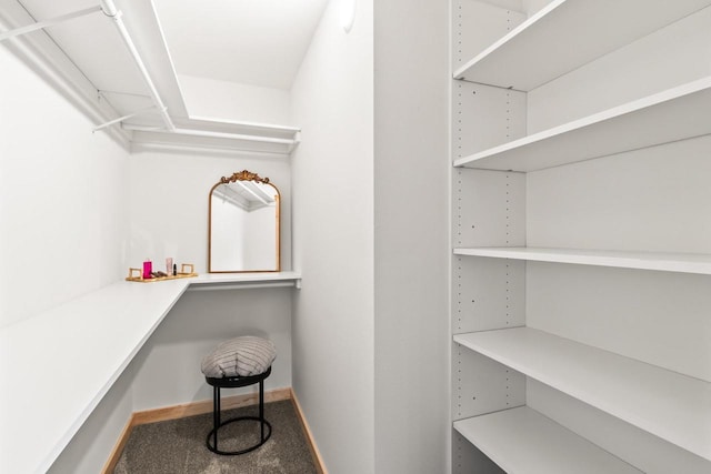 walk in closet with carpet floors