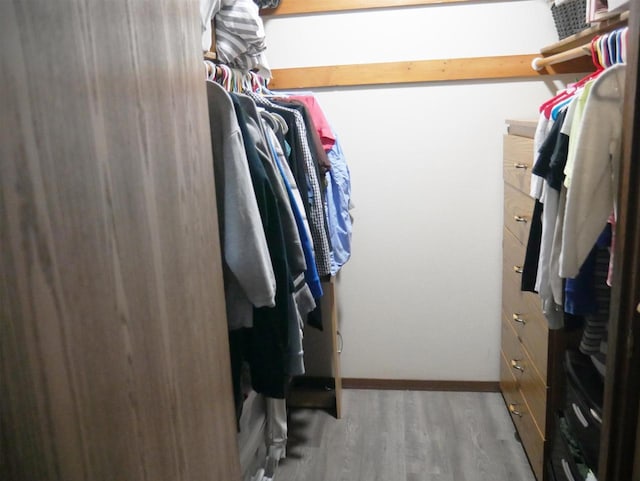 spacious closet featuring wood finished floors