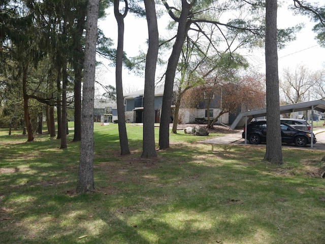 view of yard