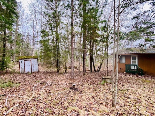 view of yard featuring a storage shed and an outdoor structure
