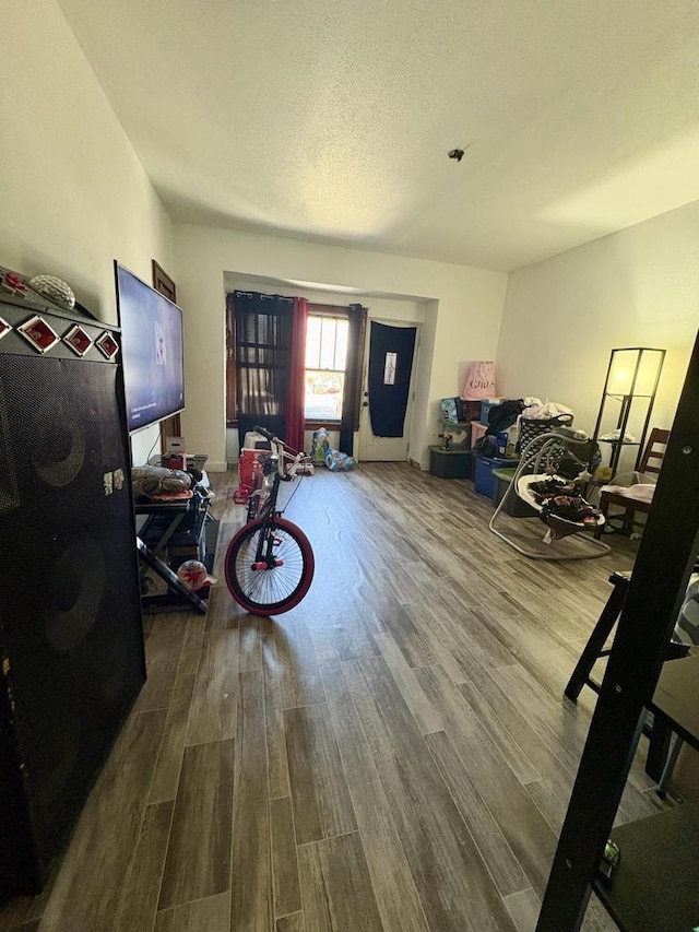 game room featuring wood finished floors