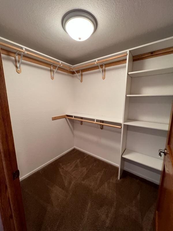 walk in closet featuring dark carpet