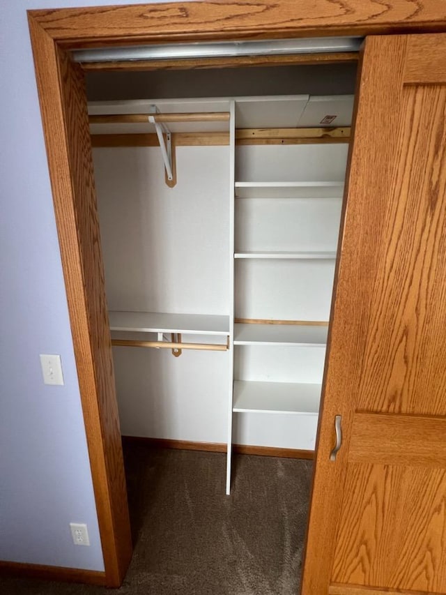 view of closet