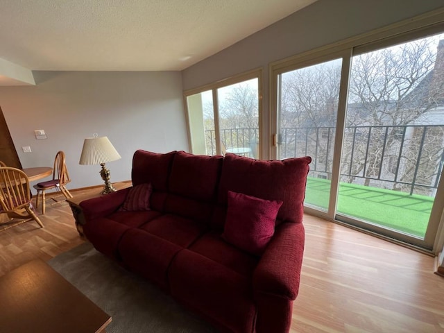 living room with baseboards and light wood-style flooring