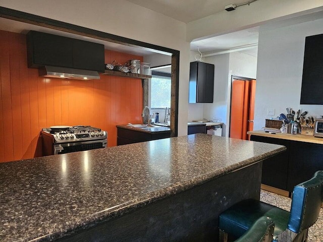 4464 S Whitnall Ave, Milwaukee, WI 53225 - kitchen featuring dark countertops, open shelves, a sink, gas range, and under cabinet range hood