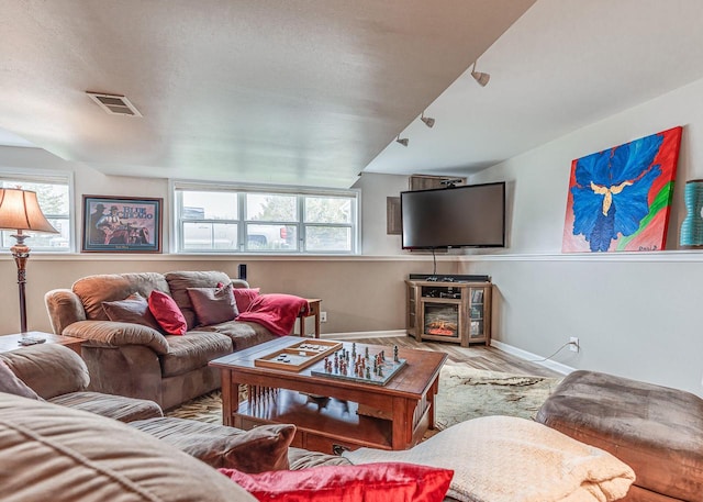 183 Twin Valley Trl, Cedar Grove, WI 53013 - living room with baseboards, visible vents, a glass covered fireplace, and wood finished floors