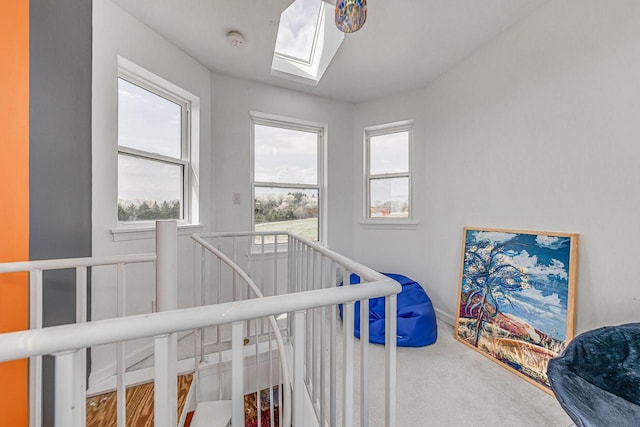 183 Twin Valley Trl, Cedar Grove, WI 53013 - stairway featuring carpet flooring and a skylight