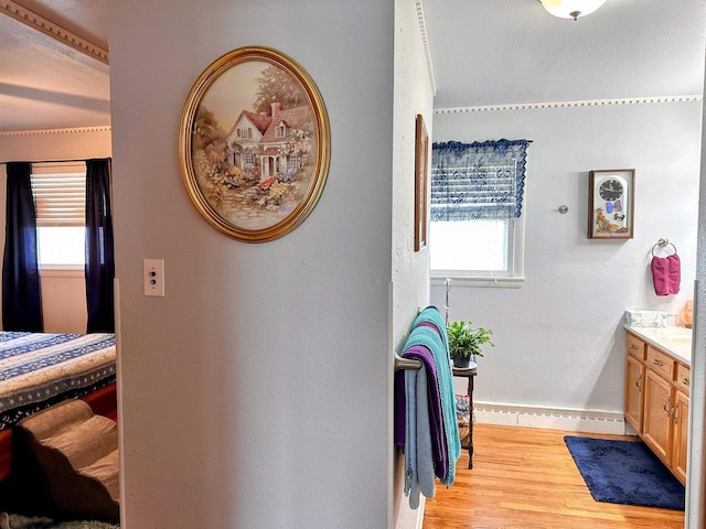 bathroom with vanity, baseboards, a healthy amount of sunlight, and wood finished floors