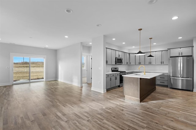 255 NW 3rd Ave, Monroe, WI 53566 - kitchen featuring gray cabinets, light wood-type flooring, light countertops, open floor plan, and stainless steel appliances