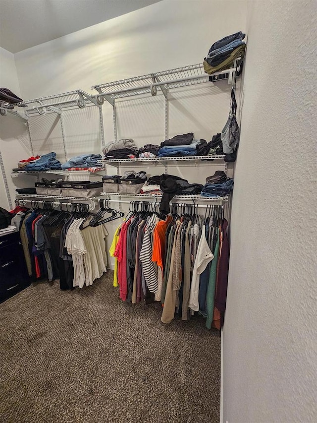 456 N Hyland St, Juneau, WI 53039 - spacious closet with carpet flooring
