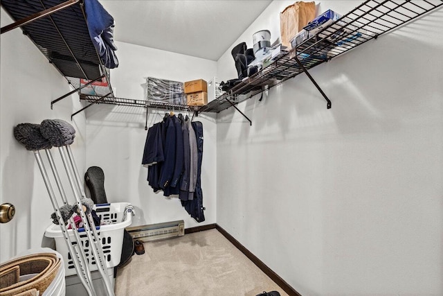 N84W16033 Menomonee Ave Unit 200, Menomonee Falls, WI 53051 - spacious closet with carpet flooring and baseboard heating