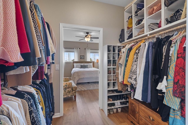 walk in closet featuring ceiling fan and wood finished floors