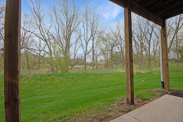 524 Tindalls Nest, Twin Lakes, WI 53181 - view of yard