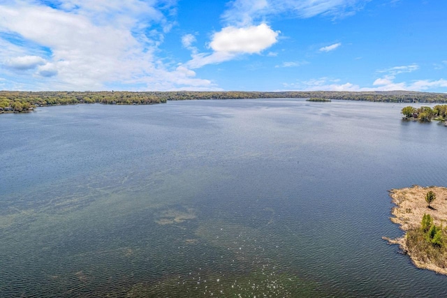 3024 Nagawicka Ave, Delafield, WI 53018 - water view