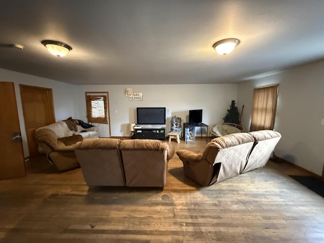 living area featuring wood finished floors