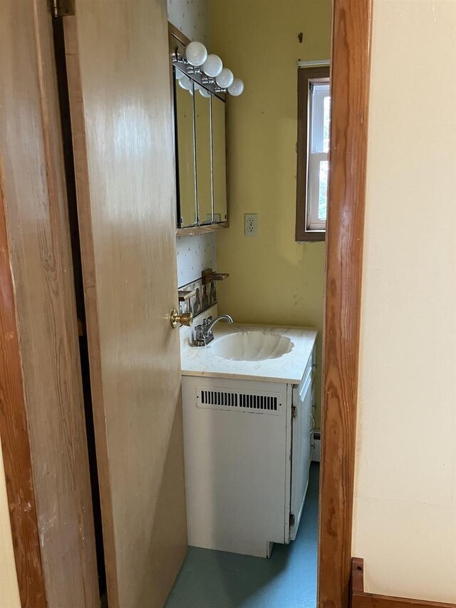 365 Jenkynsville Rd, Benton, WI 53803 - bathroom with vanity