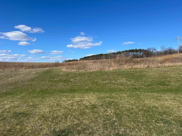 1817 Ridgewood Cir, Menomonie, WI 54751 - view of nature