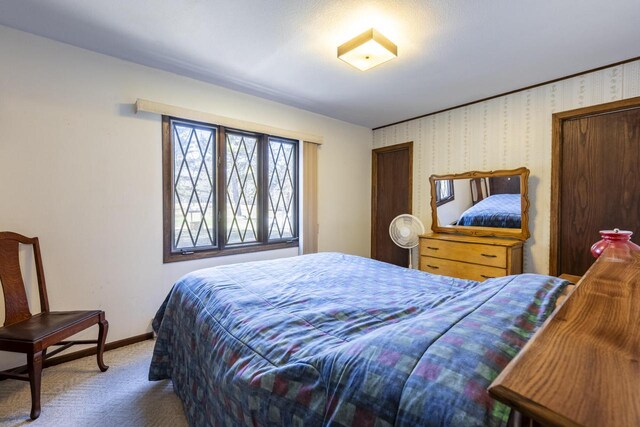 101224 25th St, Chetek, WI 54728 - bedroom with carpet floors and baseboards