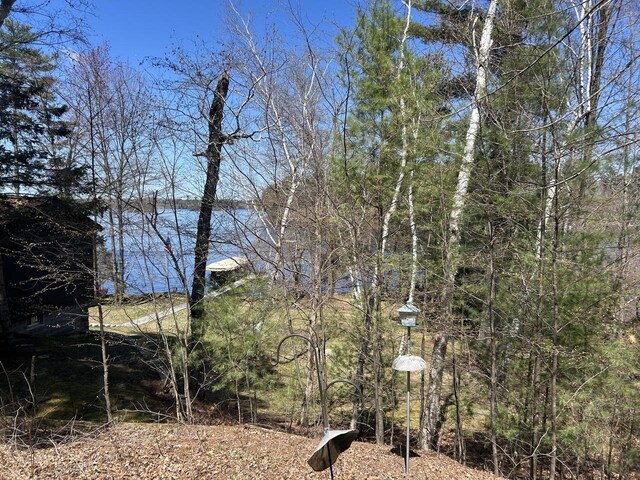 101224 25th St, Chetek, WI 54728 - view of yard