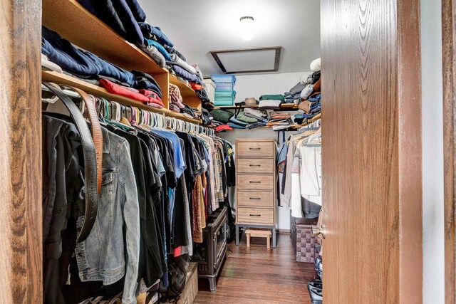 6643 Forest Park Dr, Deforest, WI 53532 - walk in closet with attic access and dark wood-style flooring