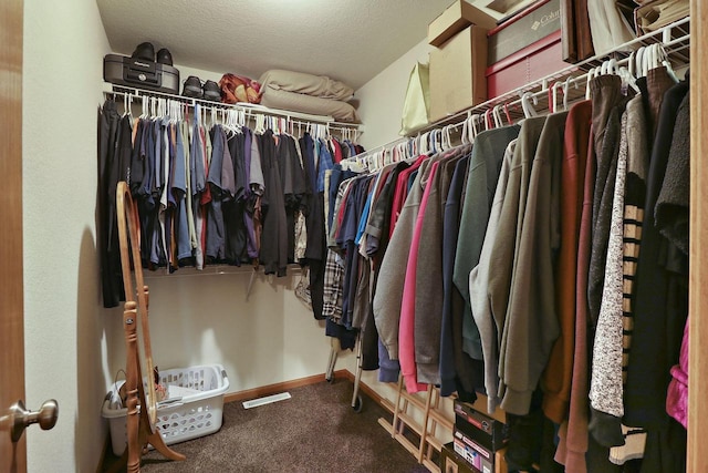 spacious closet featuring carpet flooring