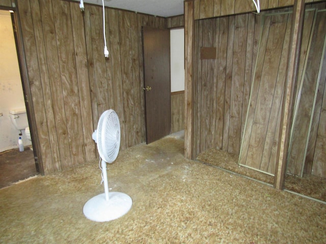 basement with wooden walls