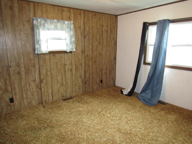 carpeted empty room featuring wood walls