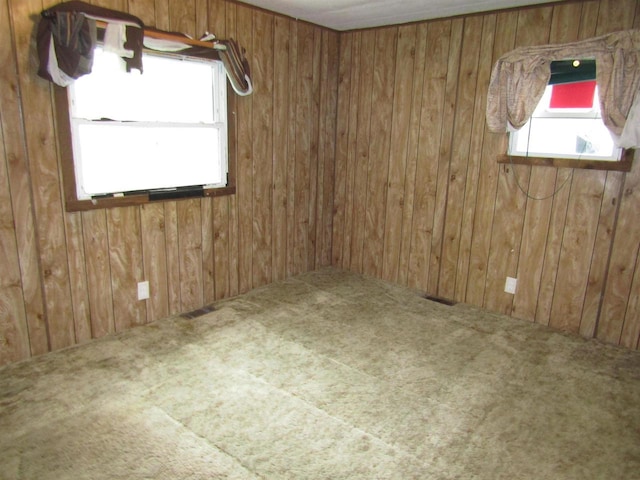 carpeted empty room with wooden walls and plenty of natural light