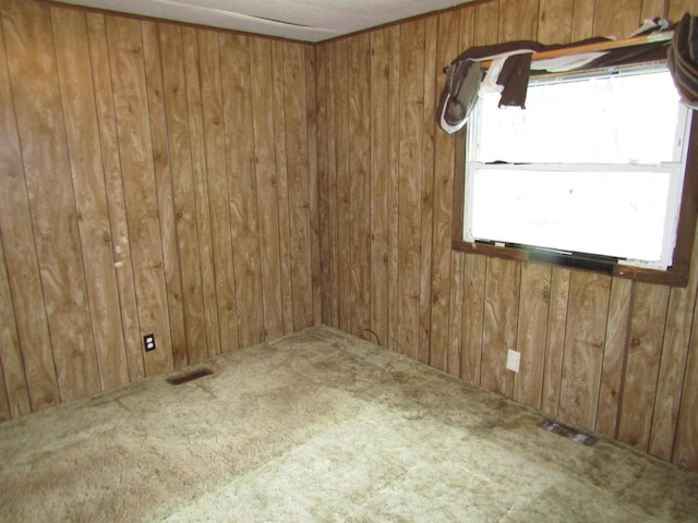 empty room featuring wooden walls and carpet
