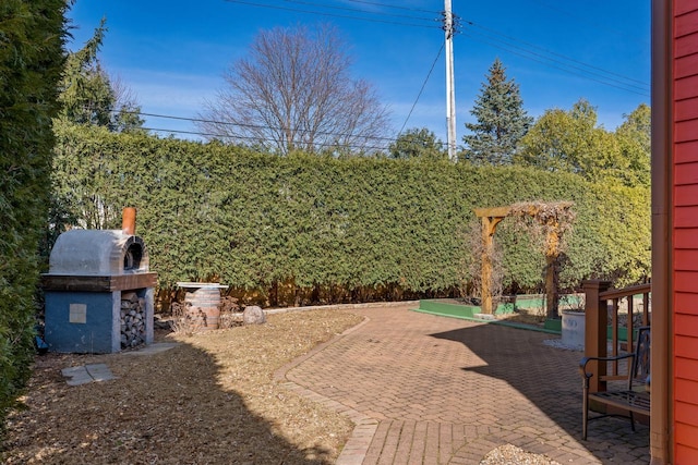 view of yard featuring a patio area and exterior kitchen