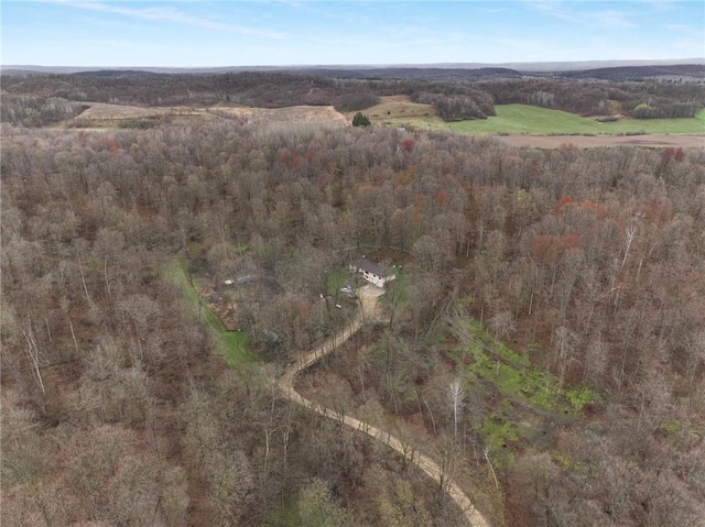 E5081 865th St, Boyceville, WI 54725 - aerial view with a view of trees