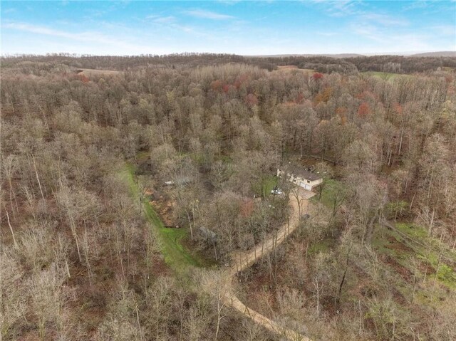 E5081 865th St, Boyceville, WI 54725 - drone / aerial view with a wooded view