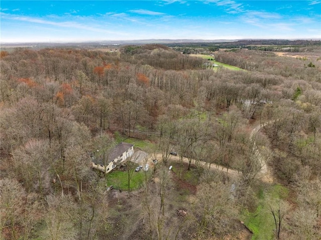 E5081 865th St, Boyceville, WI 54725 - aerial view featuring a wooded view
