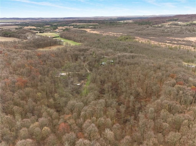 E5081 865th St, Boyceville, WI 54725 - drone / aerial view with a wooded view