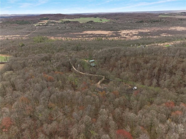 E5081 865th St, Boyceville, WI 54725 - birds eye view of property