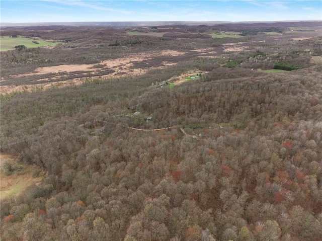 E5081 865th St, Boyceville, WI 54725 - drone / aerial view