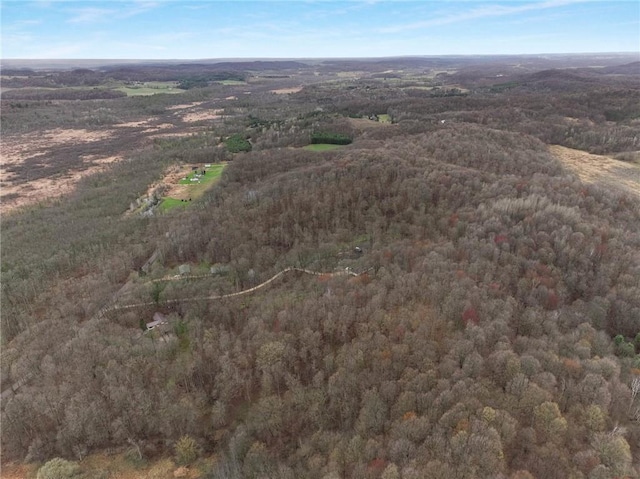 E5081 865th St, Boyceville, WI 54725 - bird's eye view with a forest view