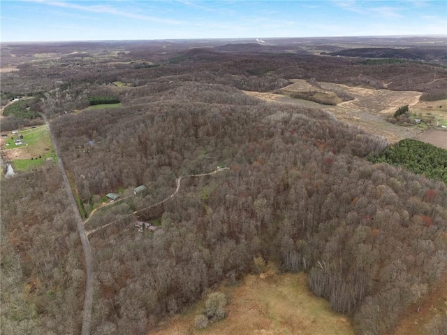 E5081 865th St, Boyceville, WI 54725 - drone / aerial view with a view of trees
