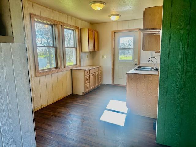 kitchen featuring light countertops, dark wood finished floors, wooden walls, and a sink