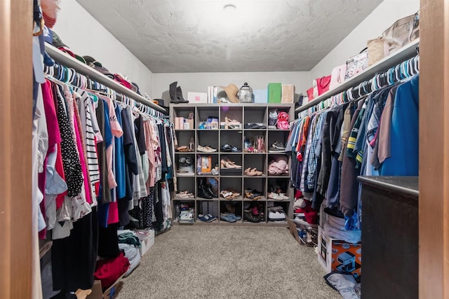 spacious closet featuring carpet floors