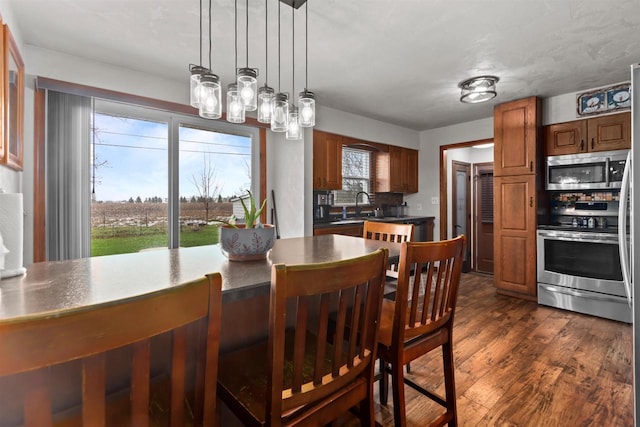 dining space featuring dark wood finished floors