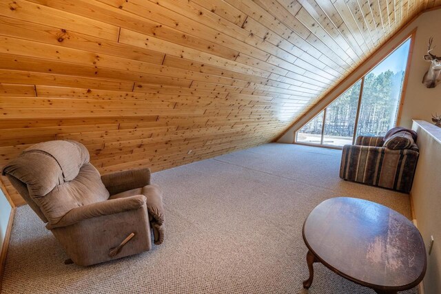 9327 Strong Rd, Argonne, WI 54511 - sitting room with wooden ceiling, carpet floors, and vaulted ceiling