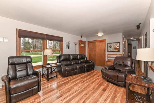 living area featuring light wood finished floors