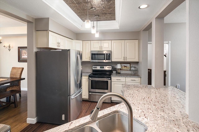 1218 Red Cedar Ct, Onalaska, WI 54650 - kitchen with light stone countertops, a tray ceiling, a sink, stainless steel appliances, and dark wood-style floors