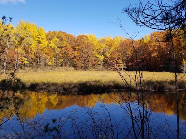 7589 Nose Lake Rd, Rhinelander, WI 54501 - view of water feature with a forest view